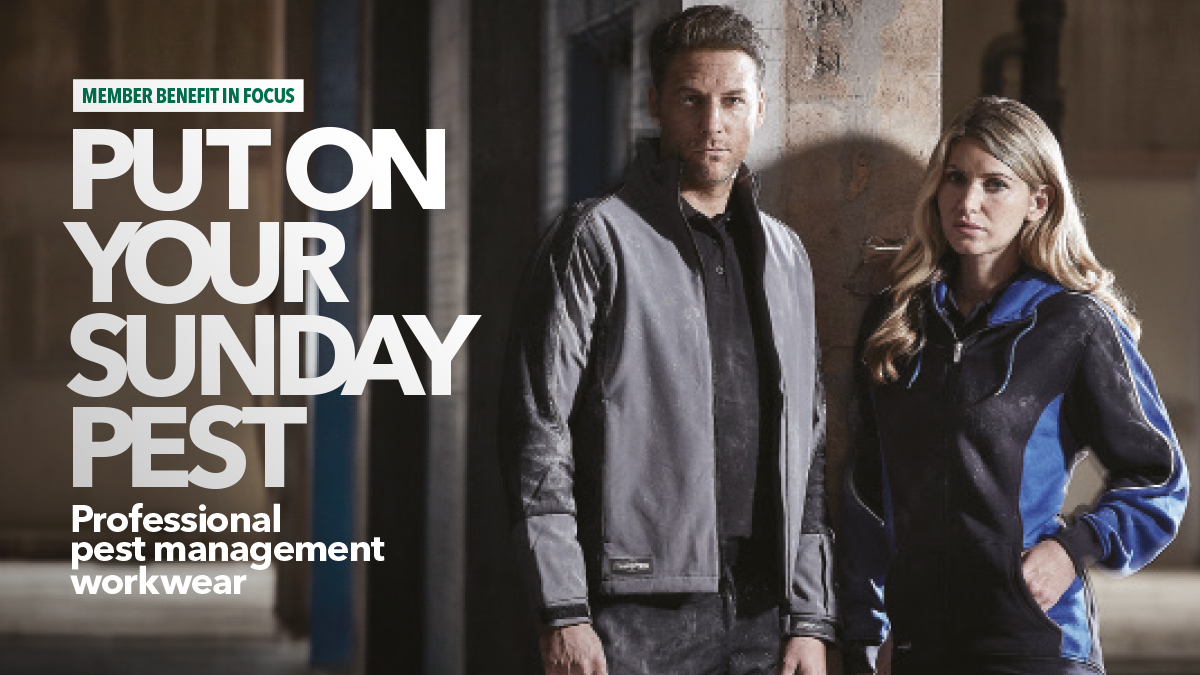 sunday pest alexandra workwear sunday pest alexandra workwear